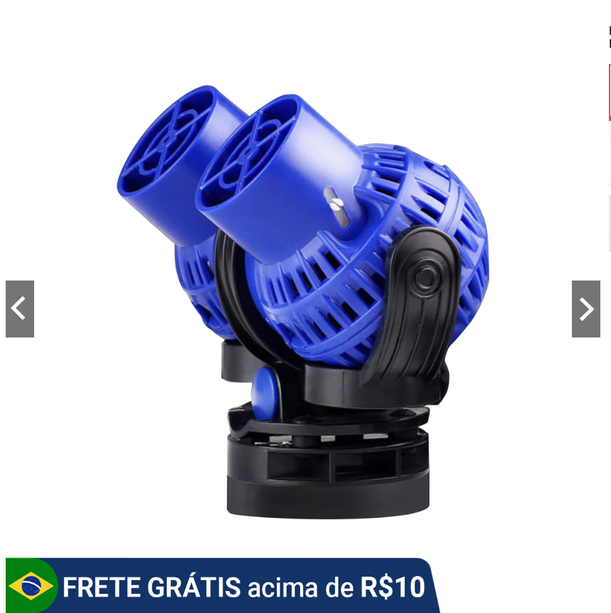 Captura-de-tela-2025-09-27-122748 O que são Corais Moles?