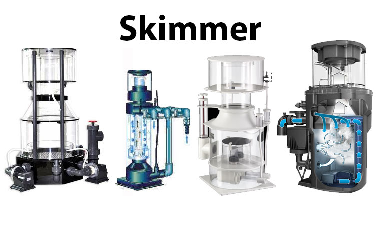 skimmer Para que serve o skimmer no aquário?